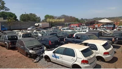 Leilão em Goiás no mês de outubro