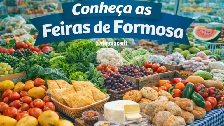 Feiras de Formosa comércio e pontos de encontro da comunidade