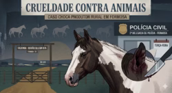 A imagem Ilustrativa mostra o cavalo sangrando após ser esfaqueado.