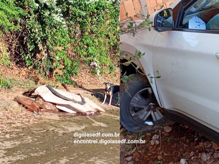 Homem é preso acusado de furtar Fiat Toro, atropelar cavalo e colidir contra residência em Formosa
