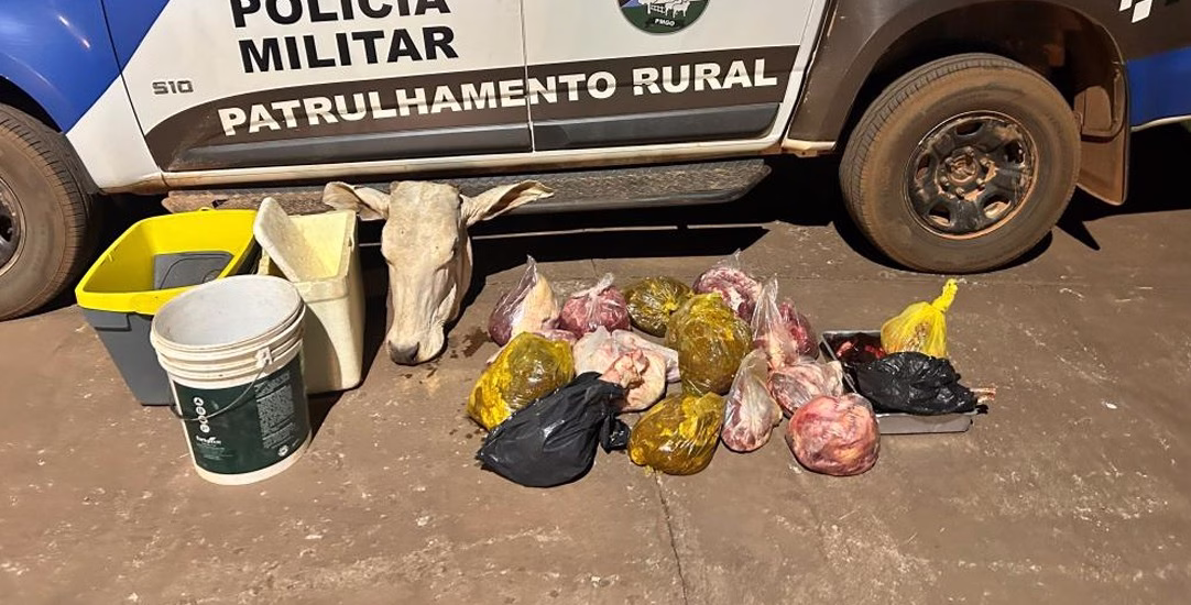 Batalhão Rural prende suspeito de furtar vaca 6 Carne bovina ilegal e cabeça de gado apreendidas pela Patrulha Rural da Polícia Militar em Goiás.