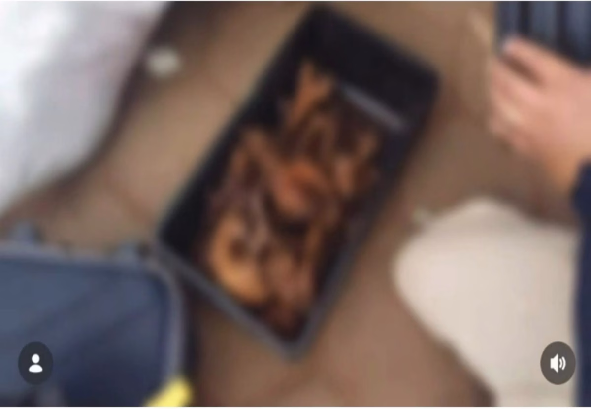 Imagem mostra uma caixa plástica contendo uma ossada humana, encontrada durante uma fiscalização da Polícia Rodoviária Federal (PRF) em um ônibus interestadual. A fotografia está desfocada para preservar a sensibilidade da cena, enquanto um agente realiza a inspeção do material apreendido durante a ocorrência investigada pela Polícia Civil do Distrito Federal (PCDF).
