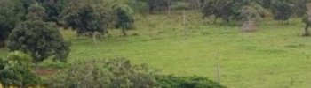 Imagem Ilustrativa das fazendas da região do Barreiro Formosa Goiás.