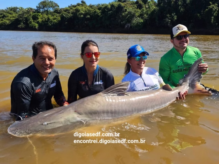 Amigos dentro da água, segurando um peixe gigante nas mãos.
