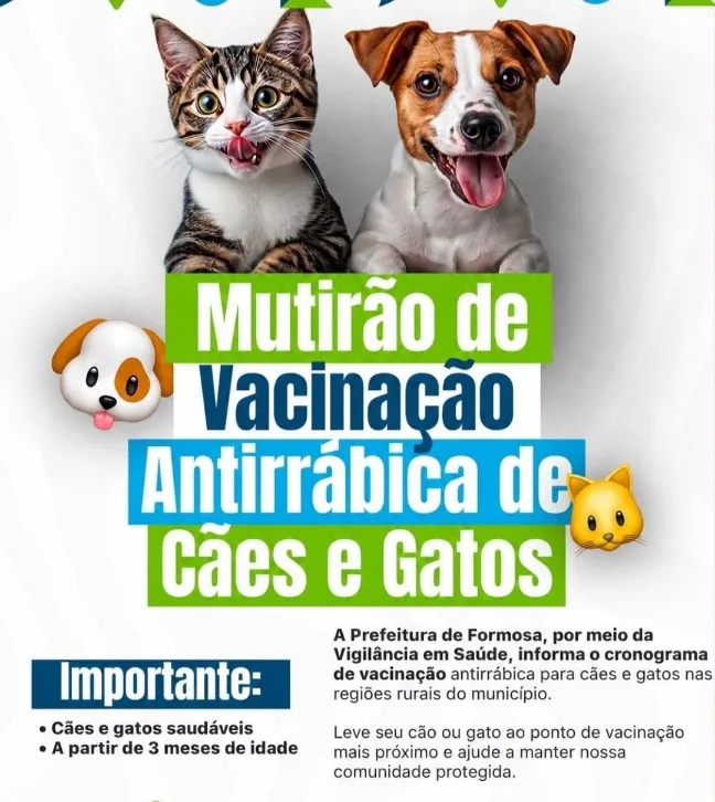 Este é um cartaz publicitário da Prefeitura de Formosa para um mutirão de vacinação antirrábica. Na parte superior, há uma foto de um gato tigrado lambendo o focinho e um cachorro Jack Russell Terrier com a língua de fora, ambos felizes e em primeiro plano. Abaixo deles, o título principal em letras grandes e coloridas (verde e azul) diz: "Mutirão de Vacinação Antirrábica de Cães e Gatos". Dois ícones de emojis (um cachorro e um gato) flanqueiam o título.
Na parte inferior, há um bloco de texto azul escuro à esquerda, intitulado "Importante:", com dois pontos: "Cães e gatos saudáveis" e "A partir de 3 meses de idade". À direita, o texto informativo diz: "A Prefeitura de Formosa, por meio da Vigilância em Saúde, informa o cronograma de vacinação antirrábica para cães e gatos nas regiões rurais do município. Leve seu cão ou gato ao ponto de vacinação mais próximo e ajude a manter nossa comunidade protegida." O fundo é branco com detalhes sutis em verde.