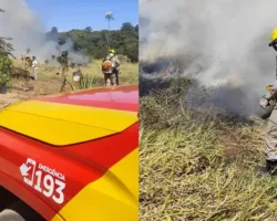 Incêndio em vegetação em Formosa mobiliza bombeiros no Parque São Francisco e no bairro Formosinha 5 Imagem composta mostrando detalhe de viatura do Corpo de Bombeiros com número 193 e bombeiro equipado com soprador combatendo fumaça e fogo em matagal.