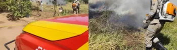 Imagem composta mostrando detalhe de viatura do Corpo de Bombeiros com número 193 e bombeiro equipado com soprador combatendo fumaça e fogo em matagal.