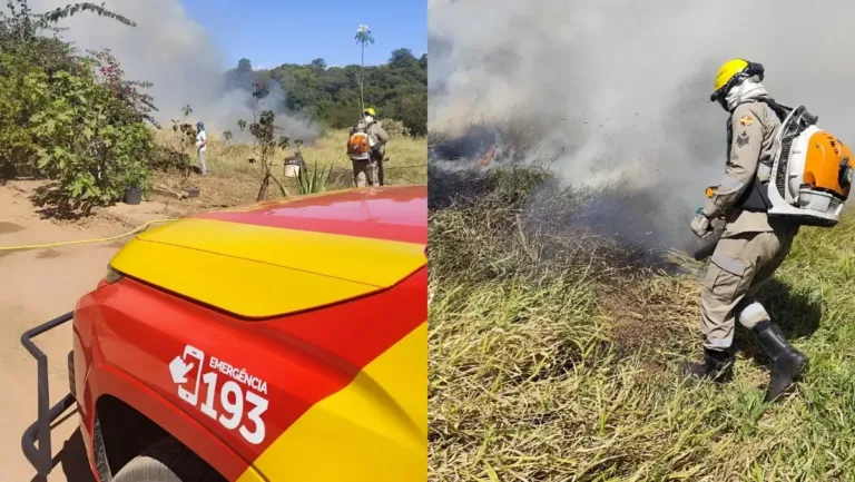 Imagem composta mostrando detalhe de viatura do Corpo de Bombeiros com número 193 e bombeiro equipado com soprador combatendo fumaça e fogo em matagal.