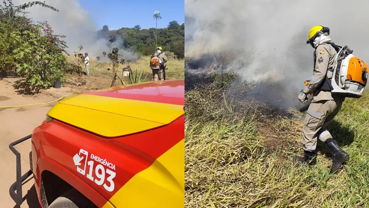 Imagem composta mostrando detalhe de viatura do Corpo de Bombeiros com número 193 e bombeiro equipado com soprador combatendo fumaça e fogo em matagal.