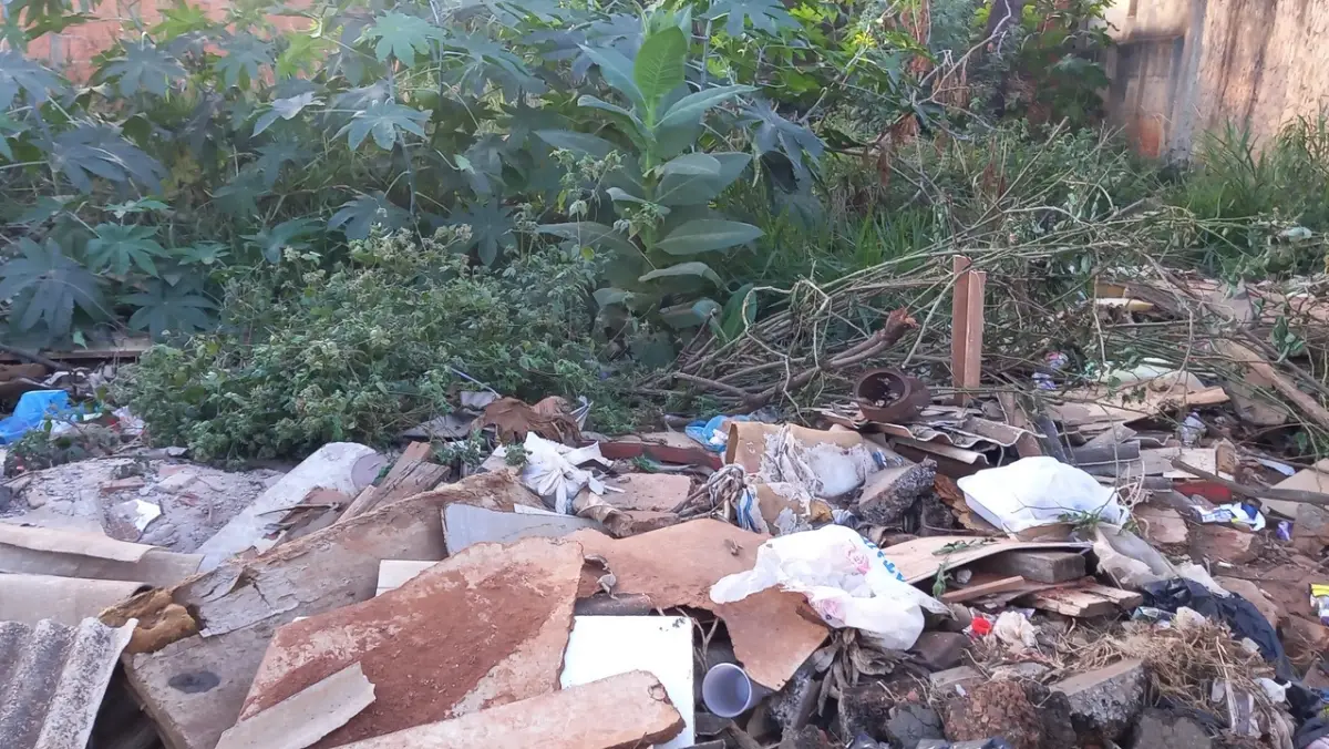 Descarte clandestino de lixo e restos de obras em área verde. A imagem mostra pedaços de madeira, telhas quebradas, plásticos e lixo doméstico amontoados em frente a uma vegetação densa com pés de mamão.