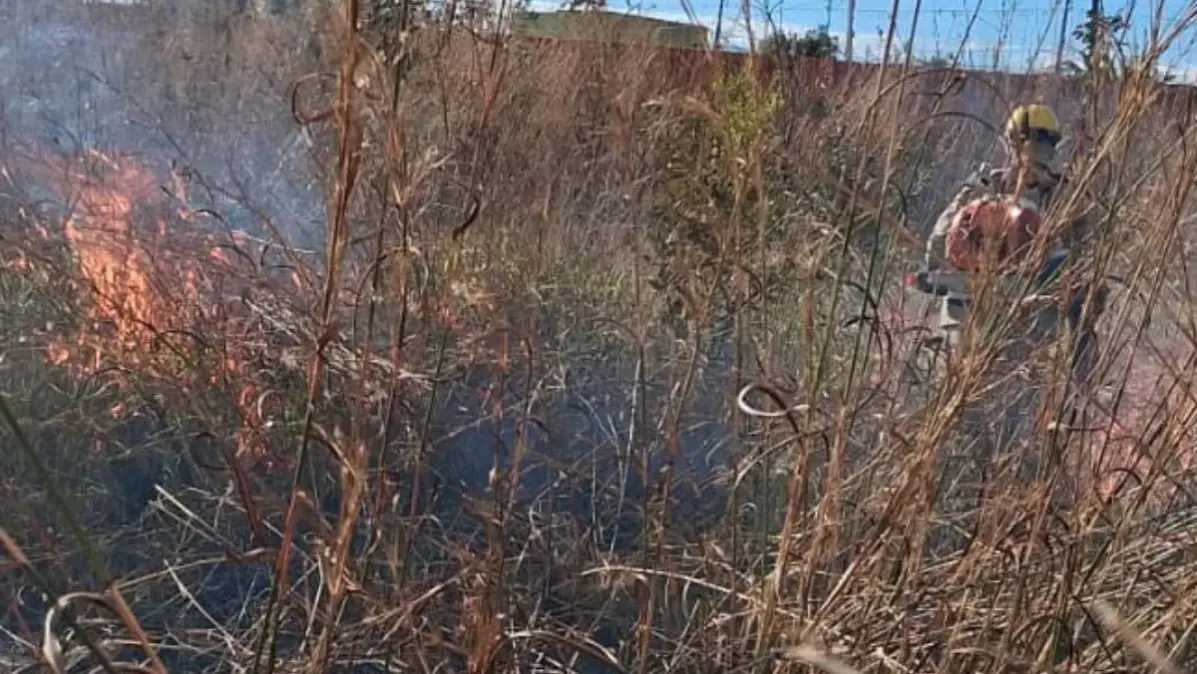 Bombeiro militar utilizando soprador térmico para debelar focos de incêndio em vegetação seca em lote baldio de Formosa.
