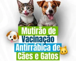 Arte de divulgação do mutirão de vacinação antirrábica para cães e gatos, com a imagem de um gato e um cachorro no topo e o texto 'Mutirão de Vacinação Antirrábica de Cães e Gatos' em destaque sobre fundo branco.