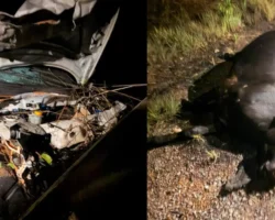 Frente de picape branca destruída após colidir com animal na GO-458, zona rural de Formosa. (Foto: Divulgação / Polícia Militar de Goiás)