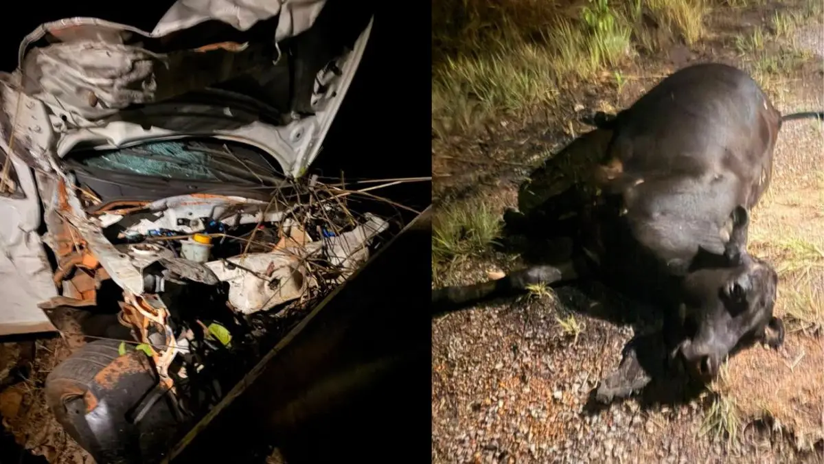 Frente de picape branca destruída após colidir com animal na GO-458, zona rural de Formosa. (Foto: Divulgação / Polícia Militar de Goiás)