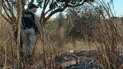 Maus-Tratos em Formosa: Cão é Achado Pendurado em Árvore. Cachorro Morto e Pendurado em Árvore no Bairro Parque Lago, em Formosa.