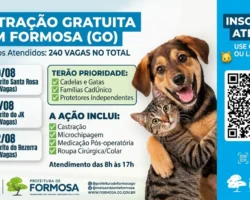 Prefeitura de Formosa abre inscrições para mutirão de castração gratuita