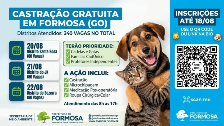 Prefeitura de Formosa abre inscrições para mutirão de castração gratuita
