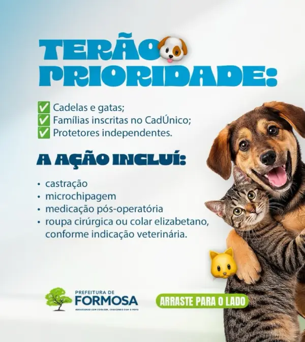Castração de cães e gatos nos distritos de Formosa.