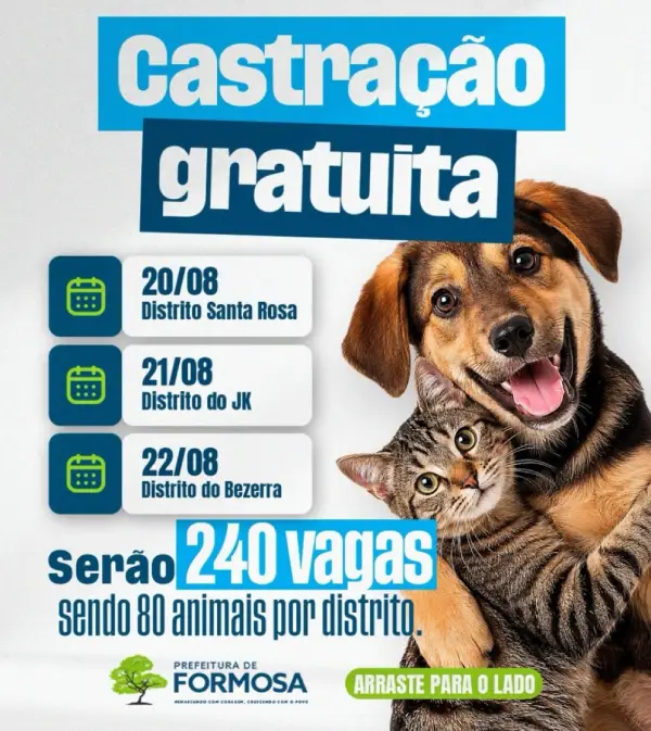 Castração gratuita em Formosa de Cães e gatos, Distritos Santa Rosa, JK, Bezerra.