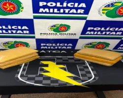 Tráfico de drogas na BR 020: Força Tática apreende tabletes de maconha 4 Drogas apreendidas na BR-020 em Formosa, a força tática fez a abordagem e encontrou a droga, na imagem está sobre a mesa com banner ao fundo escrito Polícia Militar.