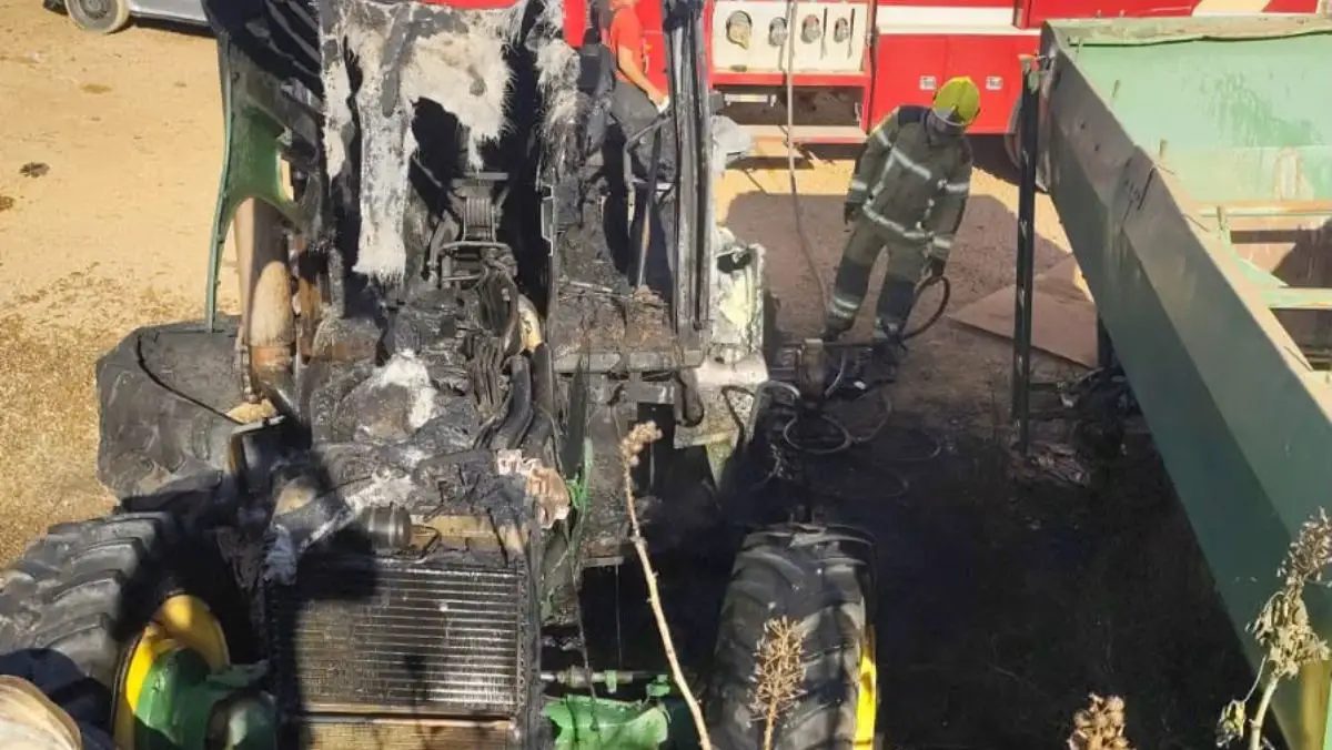 Incêndio em vegetação