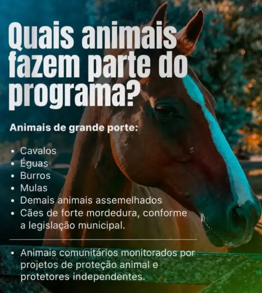 microchipagem de animais de grande porte.