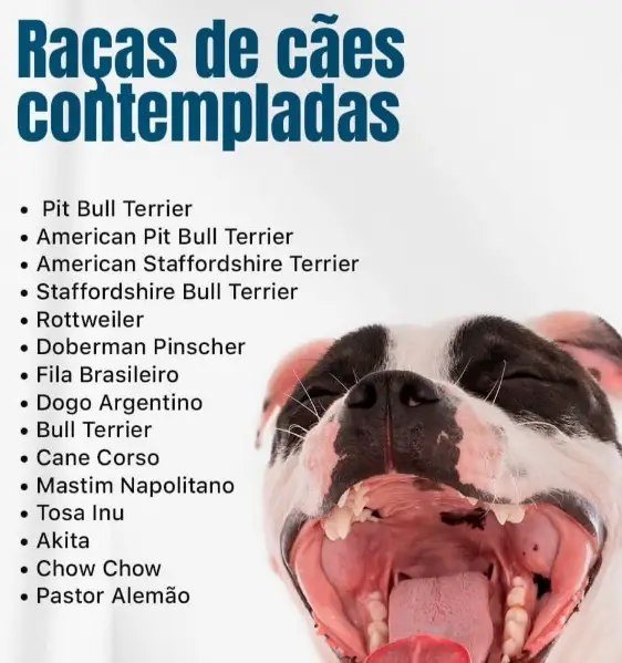 microchipagem de animais, cães de mordeduras forte.