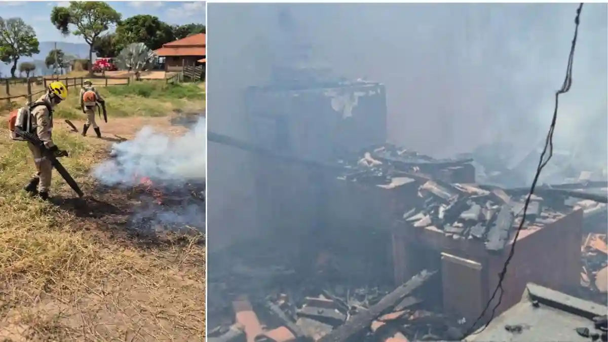 Bombeiros em combate ao incêndio, e vegetação e casa queimada.