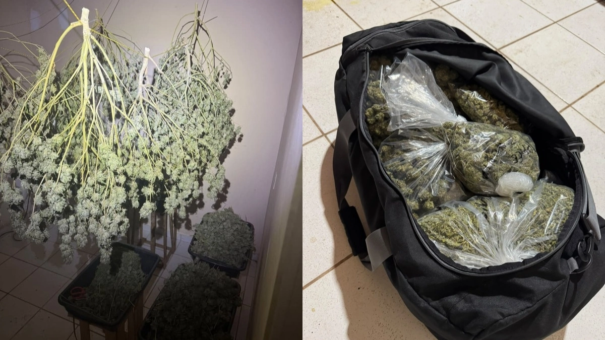 Polícia Civil apreende grande quantidade de maconha durante operação em Alto Paraíso de Goiás