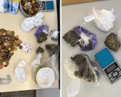 Polícia Civil apreende drogas durante operação em Formosa.