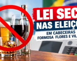 Imagem com bebidas alcoólicas e símbolo de proibição, destacando a Lei Seca nas eleições em Cabeceiras, Formosa, Flores de Goiás e Vila Boa.