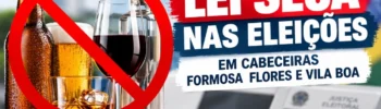 Imagem com bebidas alcoólicas e símbolo de proibição, destacando a Lei Seca nas eleições em Cabeceiras, Formosa, Flores de Goiás e Vila Boa.