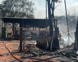 Incêndio na GO-418 em Formosa atinge área de pastagem
