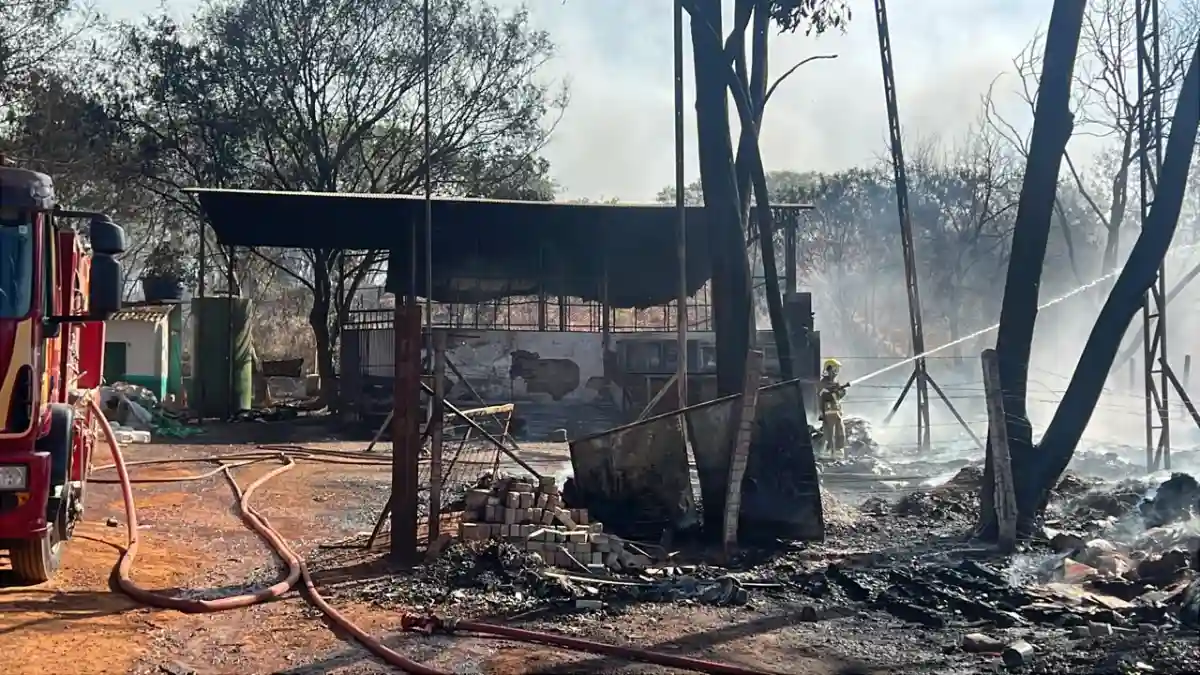 Incêndio na GO-418 em Formosa atinge área de pastagem