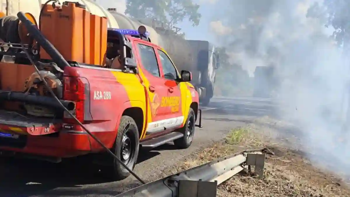 Bombeiros combatem incêndio em vegetação às margens da BR-020, no km 90, zona rural de Vila Boa (GO).