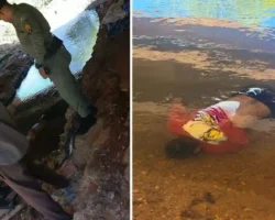 Homem encontrado morto em córrego no Parque Vila Verde, em Formosa.