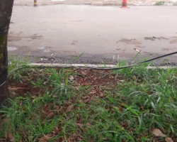 Cabo de energia cai em Formosa e área é isolada pelos Bombeiros.
