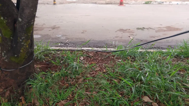 Cabo de energia cai em Formosa e área é isolada pelos Bombeiros.