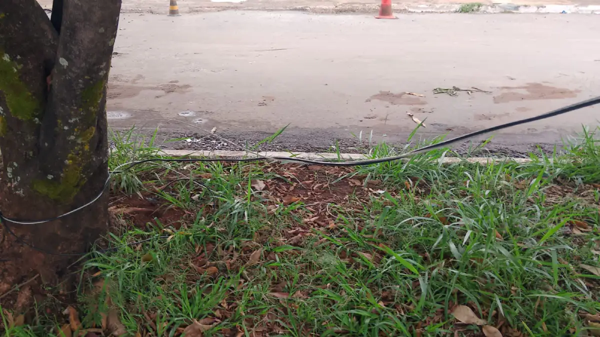 Cabo de energia cai em Formosa e área é isolada pelos Bombeiros.