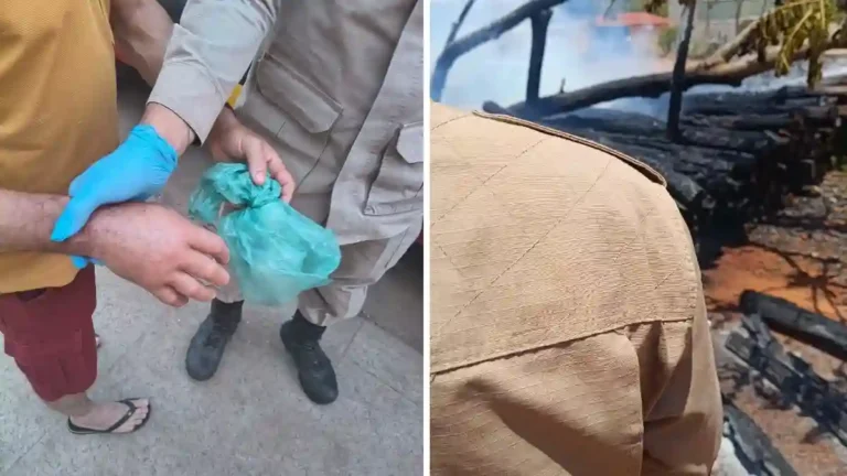 Ocorrências dos bombeiros em Formosa incluem picada de jararaca e incêndio em madeireira.
