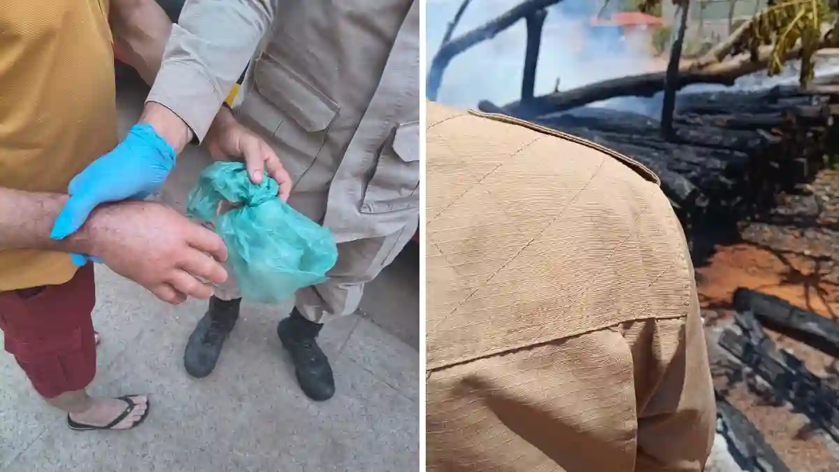 Ocorrências dos bombeiros em Formosa incluem picada de jararaca e incêndio em madeireira.