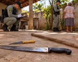 Flores de Goiás, Polícia Militar, ocorrência policial, herança, agressão, facão, Entorno do DF, segurança pública.