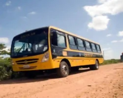 Transporte escolar de Formosa com paralisação de 71 linhas, segundo a COOTFOR.