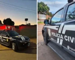 Prisão por furto em Formosa cumprida pela Polícia Civil de Goiás.